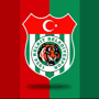 team-logo