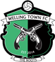 team-logo