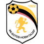team-logo
