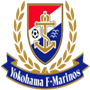 team-logo