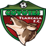 team-logo