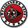 team-logo