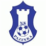 team-logo