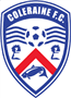 team-logo
