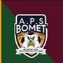 team-logo