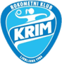 team-logo