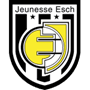 team-logo