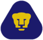 team-logo