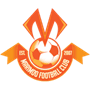 team-logo