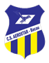 team-logo
