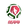 team-logo