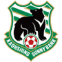 team-logo