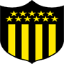 team-logo