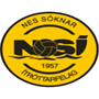 team-logo
