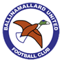 team-logo