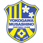 team-logo