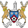 team-logo