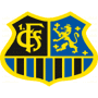 team-logo
