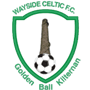 team-logo