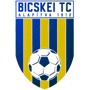team-logo