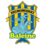 team-logo