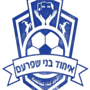 team-logo