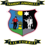 team-logo