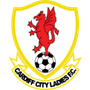 team-logo