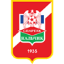 team-logo
