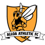 team-logo