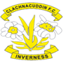 team-logo