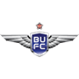 team-logo