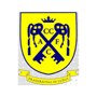 team-logo