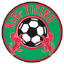 team-logo