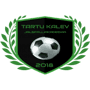 team-logo