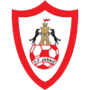 team-logo