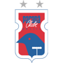 team-logo