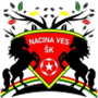 team-logo