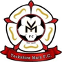 team-logo