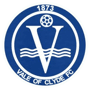team-logo