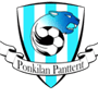 team-logo