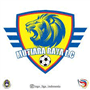 team-logo
