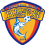 team-logo
