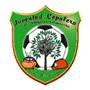 team-logo