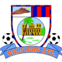team-logo