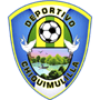 team-logo