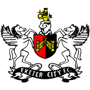 team-logo
