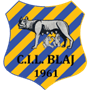 team-logo