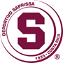 team-logo