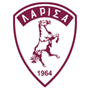 team-logo